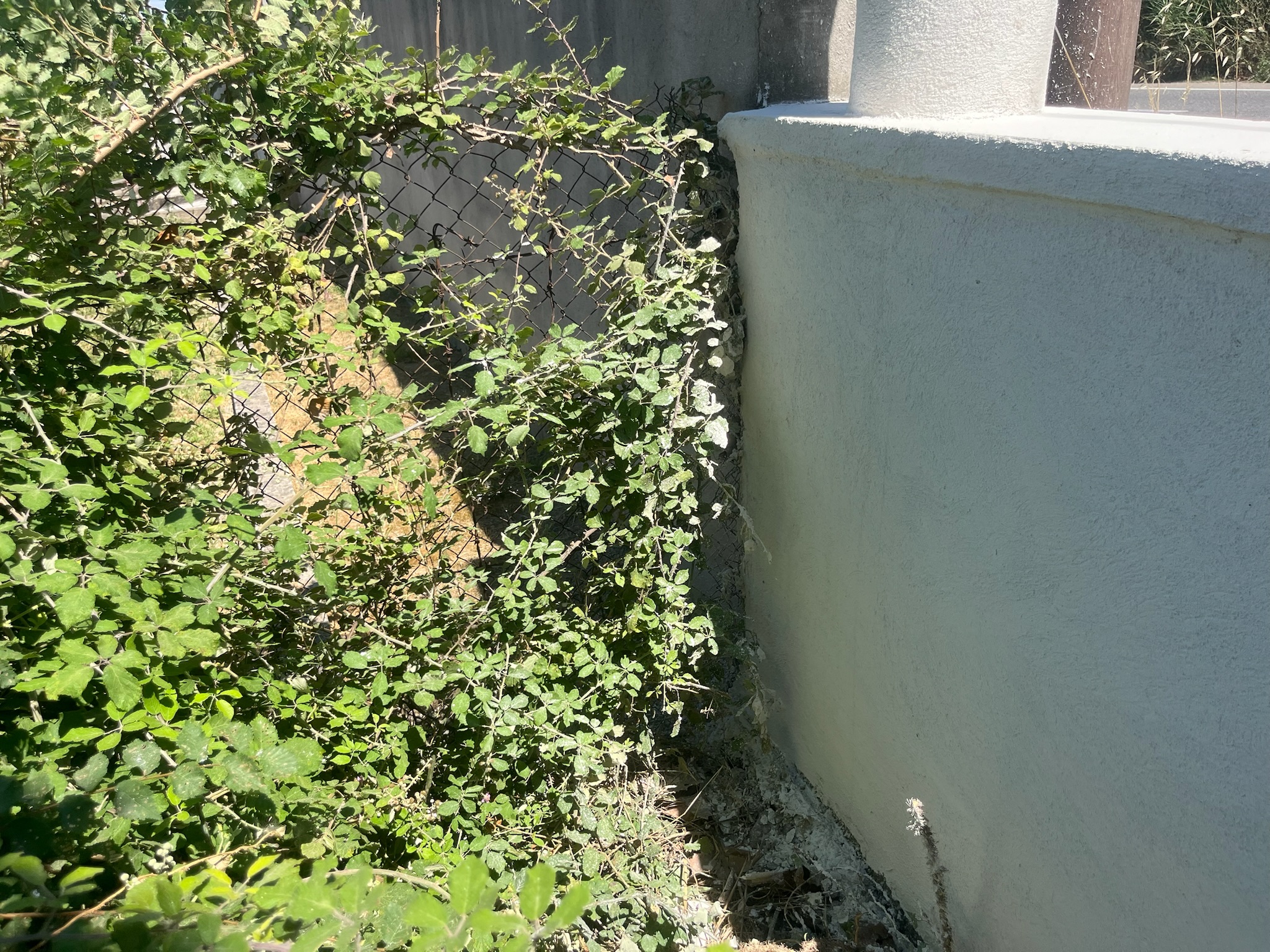 Chantier Yessayan - Photo 67